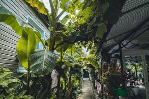 Изображение гостиницы "Частный сектор на Ушакова"