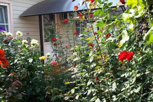 Изображение квартиры / апартамента "Дом под ключ «У Татьяны»"