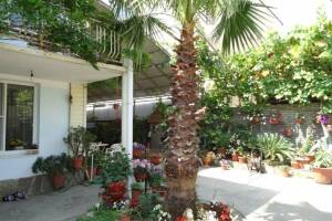 Изображение отеля / гостиницы "Частный сектор «Милана»"