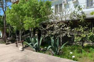 Изображение отеля / гостиницы "Гостевой дом «Роберт»"