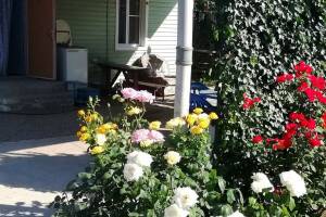 Изображение квартиры / апартамента "Домик на Одесской (на 4 человека)"