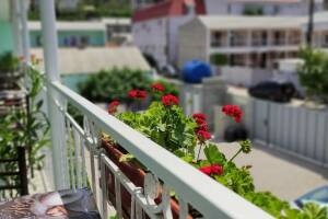 Изображение гостиницы "Гостевой дом «Оазис Судак»"