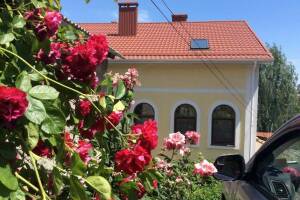 Изображение гостиницы "Гостевой дом «Антураж»"