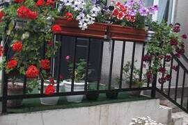 Изображение отеля / гостиницы "Гостевой дом «Уютный дворик»"