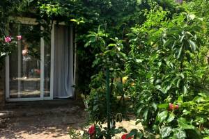 Изображение отеля / гостиницы "Гостевой дом «Marinus»"