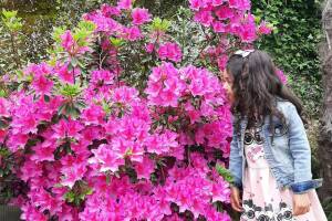 Изображение отеля / гостиницы "Частный сектор"