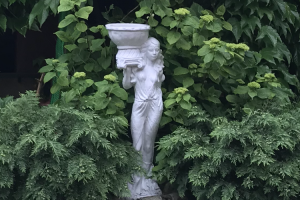 Изображение отеля / гостиницы "Гостевой дом «Дельфин»"