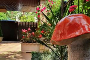 Изображение гостиницы "Частный сектор «Анна»"