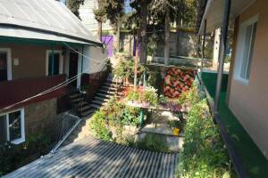 Изображение отеля / гостиницы "Гостевой дом «Кипарис»"