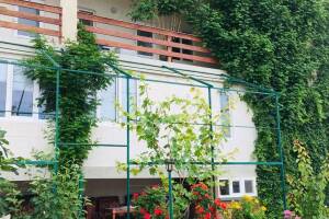 Изображение отеля / гостиницы "Частный сектор «Эверест»"