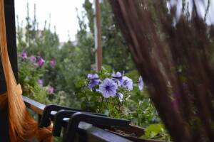 Изображение отеля / гостиницы "Гостевой дом на Школьной"