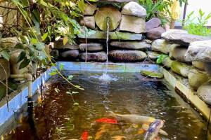 Изображение гостиницы "Гостевой дом «Viktori»"