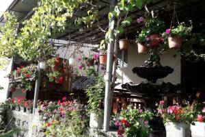 Изображение отеля / гостиницы "Гостевой дом «У Артура»"