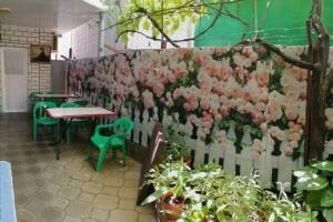 Изображение отеля / гостиницы "Гостевой дом «На Тургенева»"