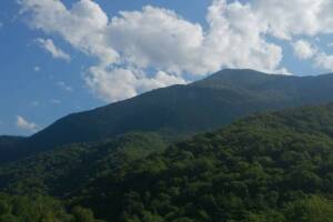 Изображение отеля / гостиницы "Гостевой дом «Боцман»"