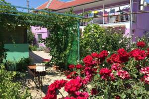 Изображение гостиницы "Гостевой дом «Фортуна»"