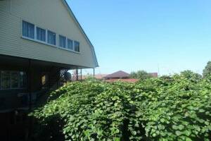 Изображение отеля / гостиницы "Гостевой дом «У Азы»"