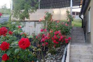 Изображение квартиры "Дом «У Максима»"