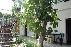 Изображение гостиницы "Гостевой дом «Na Baglikova 22a»"