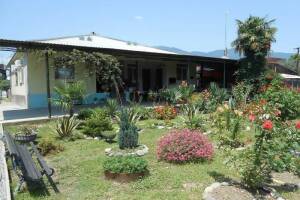 Изображение отеля / гостиницы "Частный сектор «У Анжелы»"