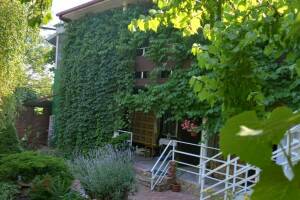 Изображение отеля / гостиницы "Гостевой дом «Домашний рай»"