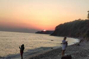 Изображение гостиницы "База отдыха «Камелия GOLD»"