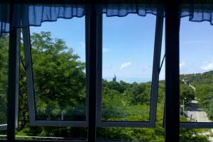 Изображение квартиры / апартамента "1-но комнатная квартира"