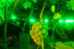 Изображение квартиры / апартамента "Дом под ключ"