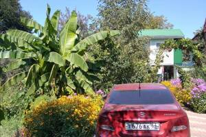 Изображение отеля / гостиницы "Гостевой дом «Юкка»"