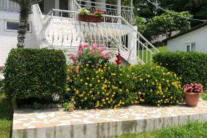 Изображение квартиры / апартамента "Дом под ключ «Золотой Берег»"