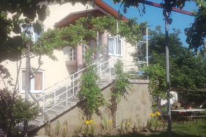 Изображение отеля / гостиницы "Гостевой дом «Мандариновый рай»"