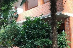 Изображение гостиницы "Частный сектор «У Михаила»"