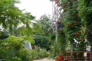 Изображение отеля / гостиницы "Частный сектор «Цветочный рай»"