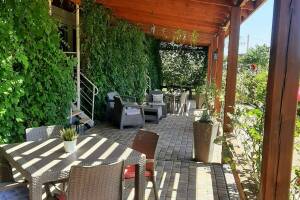 Изображение гостиницы "Гостевой дом «Кактус»"