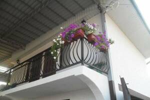 Изображение отеля / гостиницы "Гостевой дом «Мартин»"