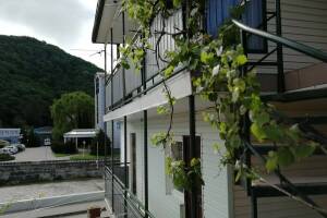 Изображение гостиницы "Гостевой дом «Южный Двор»"