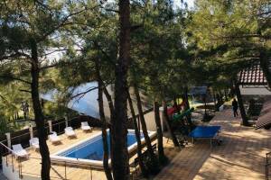 Изображение гостиницы "Частный дом «В сосновом бору»"