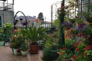 Изображение отеля / гостиницы "Гостевой дом «Валентина»"