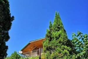 Изображение отеля / гостиницы "Гостевой дом «Светлана»"