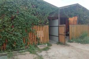 Изображение отеля / гостиницы "Домики у Азовского моря"