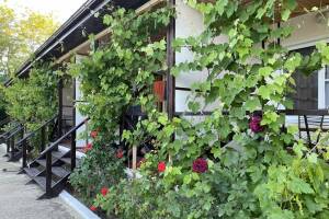 Изображение гостиницы "Гостевой дом на Коммунистической 42"