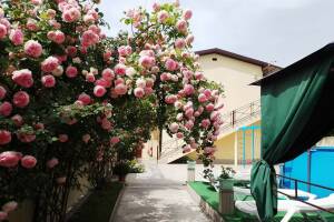 Изображение отеля / гостиницы "Мини-гостиница «Лето Club»"