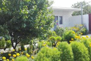 Изображение гостиницы "Гостевой дом «Ромашка»"