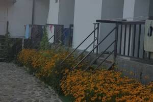 Изображение отеля / гостиницы "Гостевой дом «Ореховая роща»"