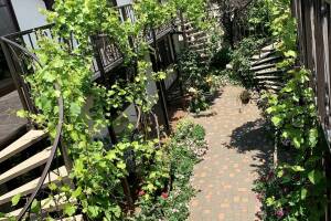 Изображение отеля / гостиницы "Гостевой дом «Sadorini»"