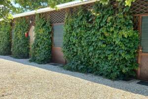 Изображение отеля / гостиницы "Частный сектор «Комфортный отдых»"