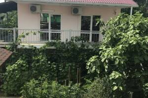 Изображение гостиницы "Гостевой дом «Mila»"