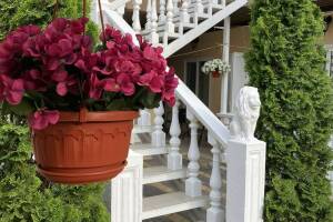 Изображение отеля / гостиницы "Гостевой дом «Радуга»"