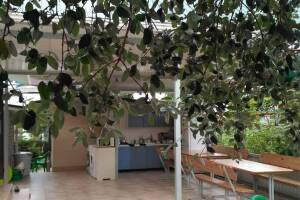 Изображение отеля / гостиницы "Гостевой дом «Фруктовый сад»"