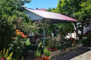 Изображение отеля / гостиницы "Гостевой дом «Вероника»"